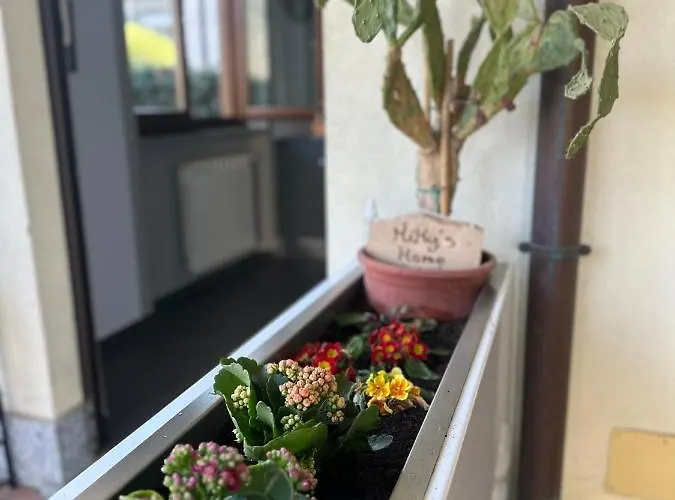 Апартаменты Miky's