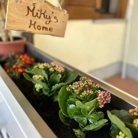 Miky's Апартаменты