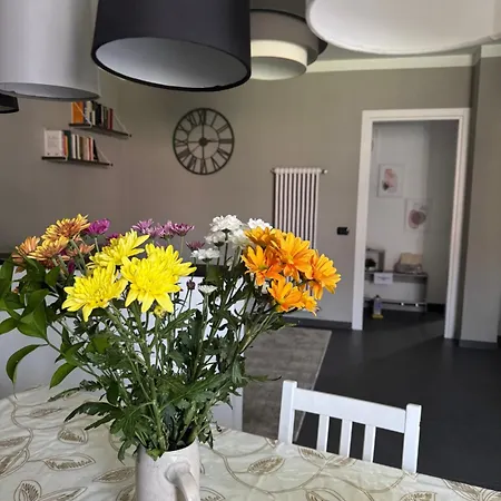 Miky's Apartament